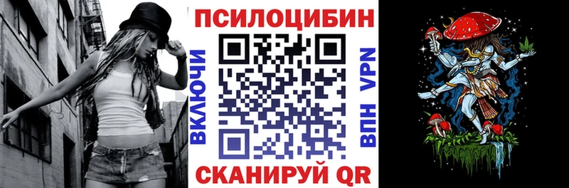 OMG ссылка  купить наркоту  Ревда  Галлюциногенные грибы GOLDEN TEACHER 